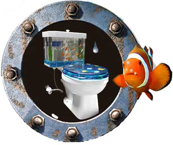 Fish `n Flush the funnest toilet around
