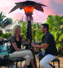 Patio Palm Heater and Mister Keeps you Warm and Cool